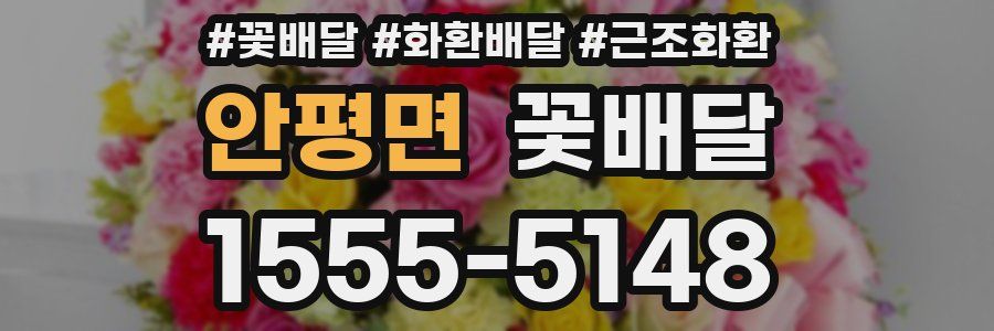 안평면 꽃배달