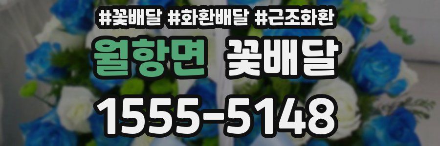 월항면 꽃배달