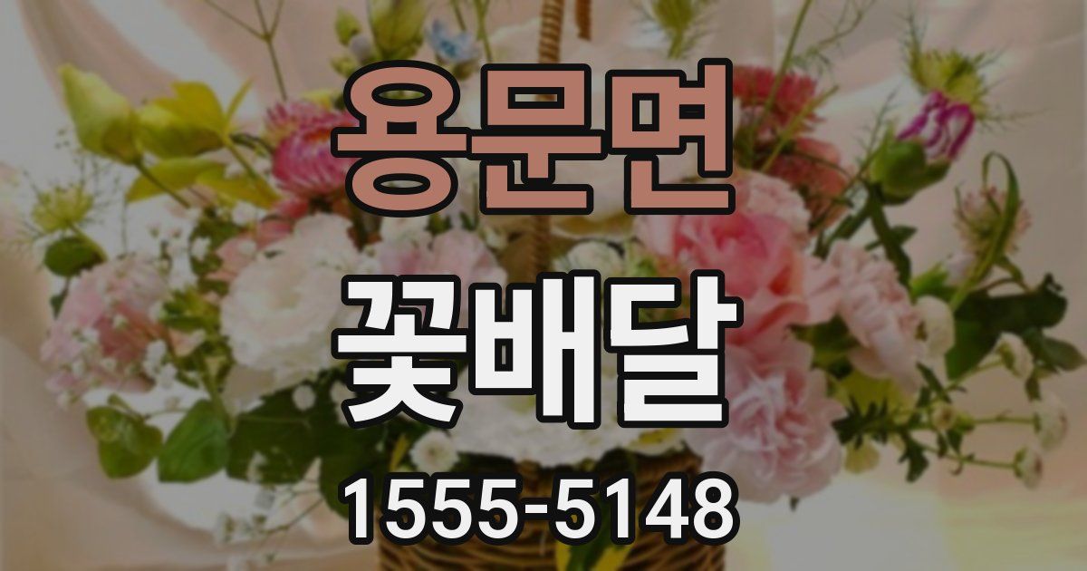 용문면 꽃배달
