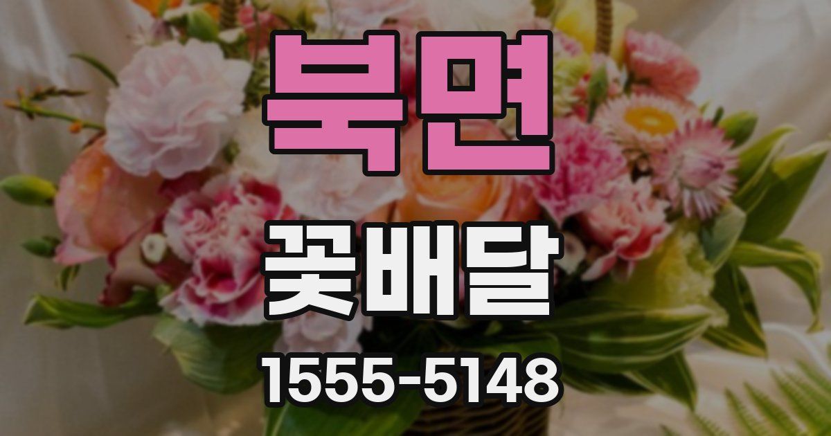 북면 꽃배달