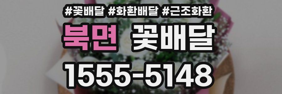 북면 꽃배달