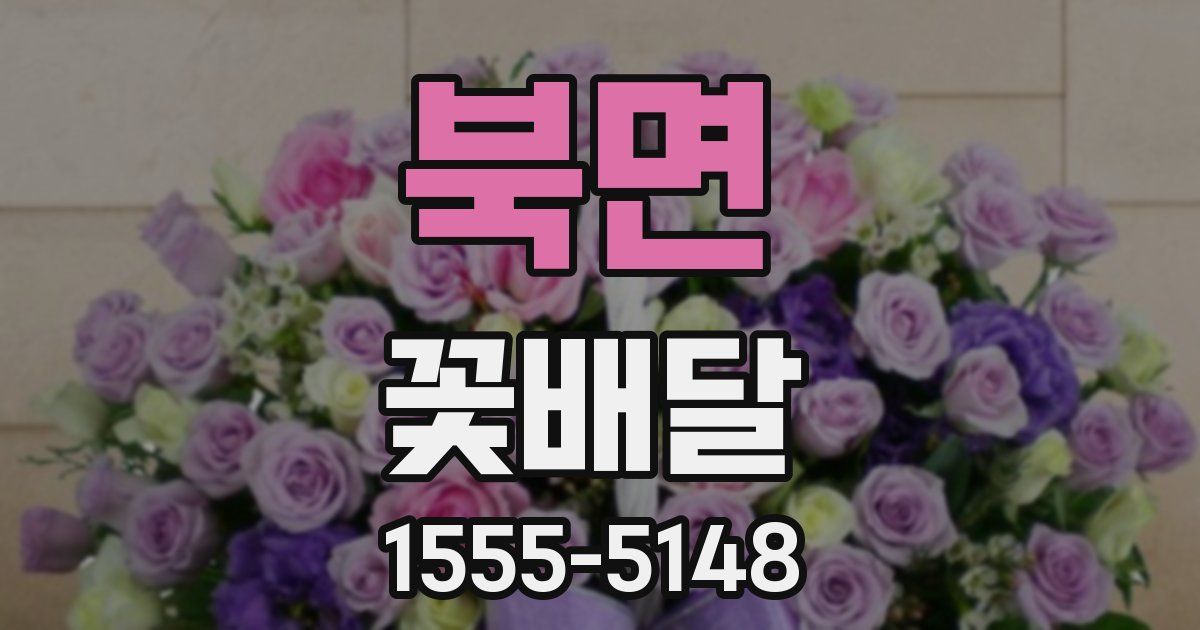 북면 꽃배달