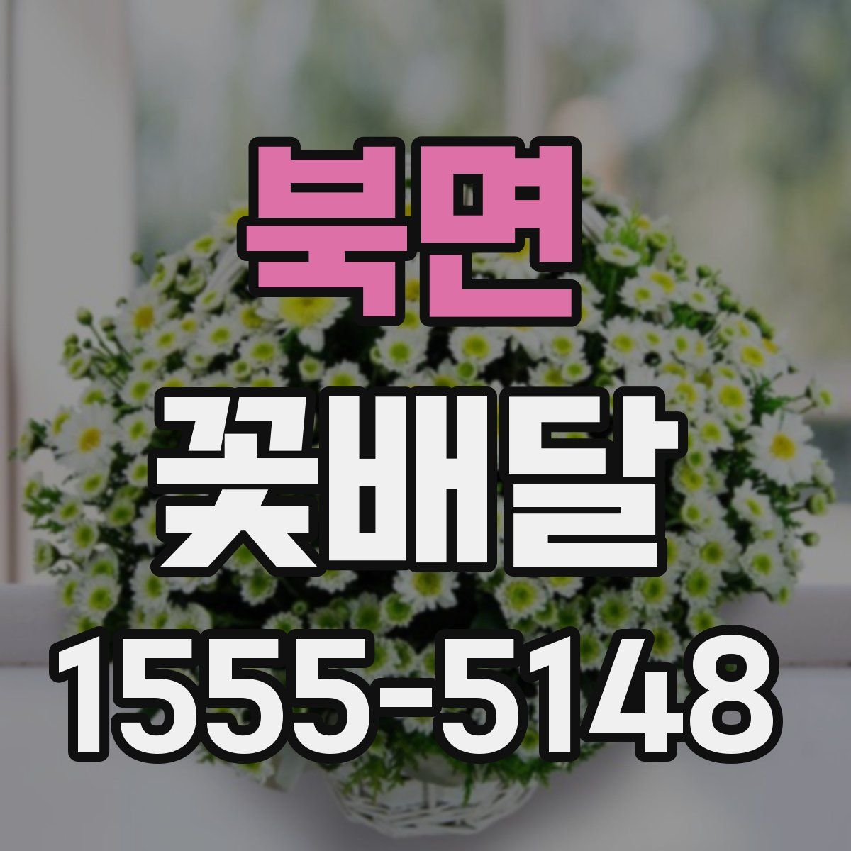 북면 꽃배달