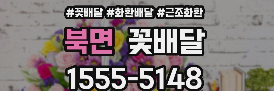 북면 꽃배달