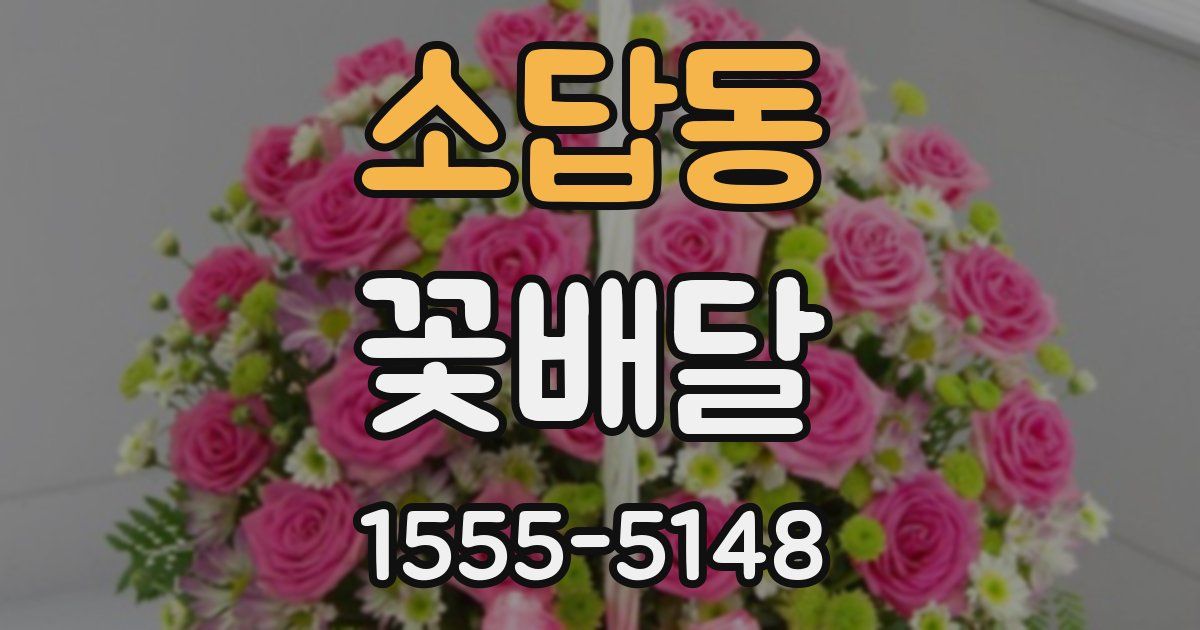 소답동 꽃배달