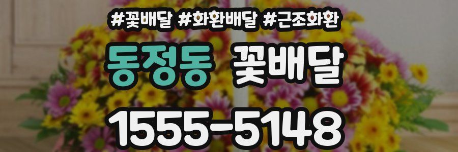 동정동 꽃배달