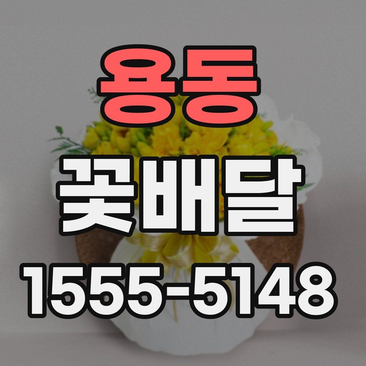 용동 꽃배달 연인에게 보내기 좋은 부드러운 스타일