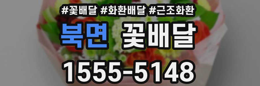 북면 꽃배달