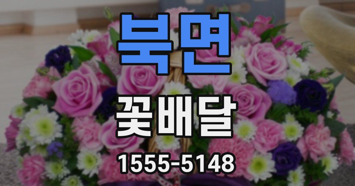 북면 꽃배달