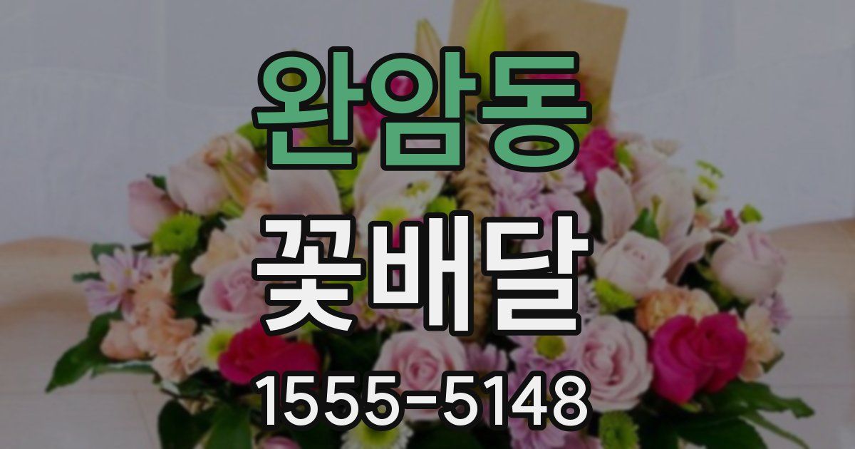 완암동 꽃배달