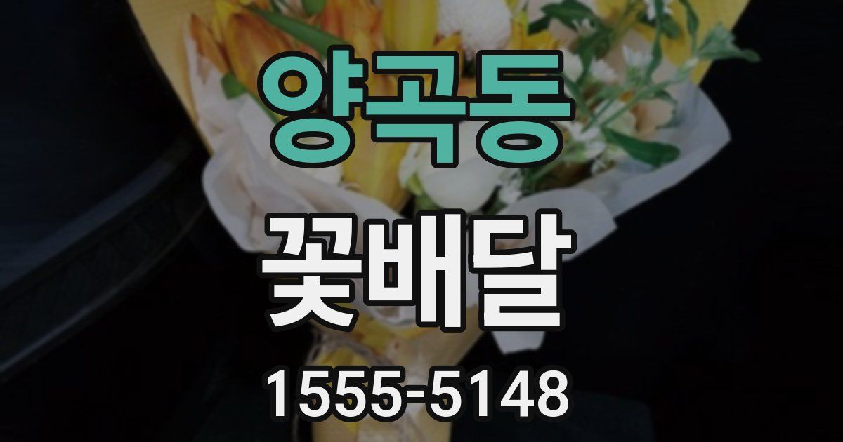 양곡동 꽃배달