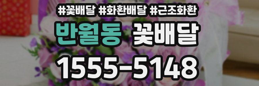 반월동 꽃배달