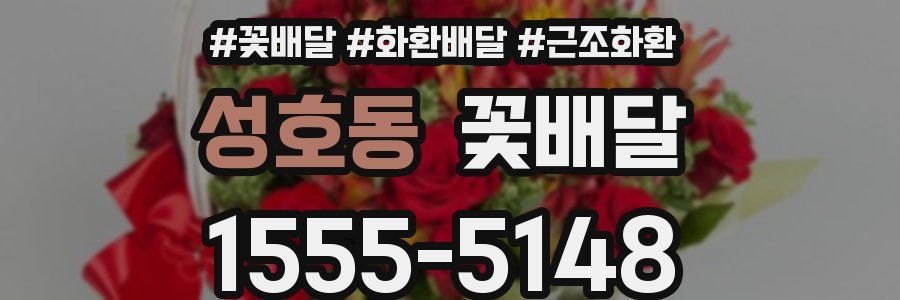 성호동 꽃배달