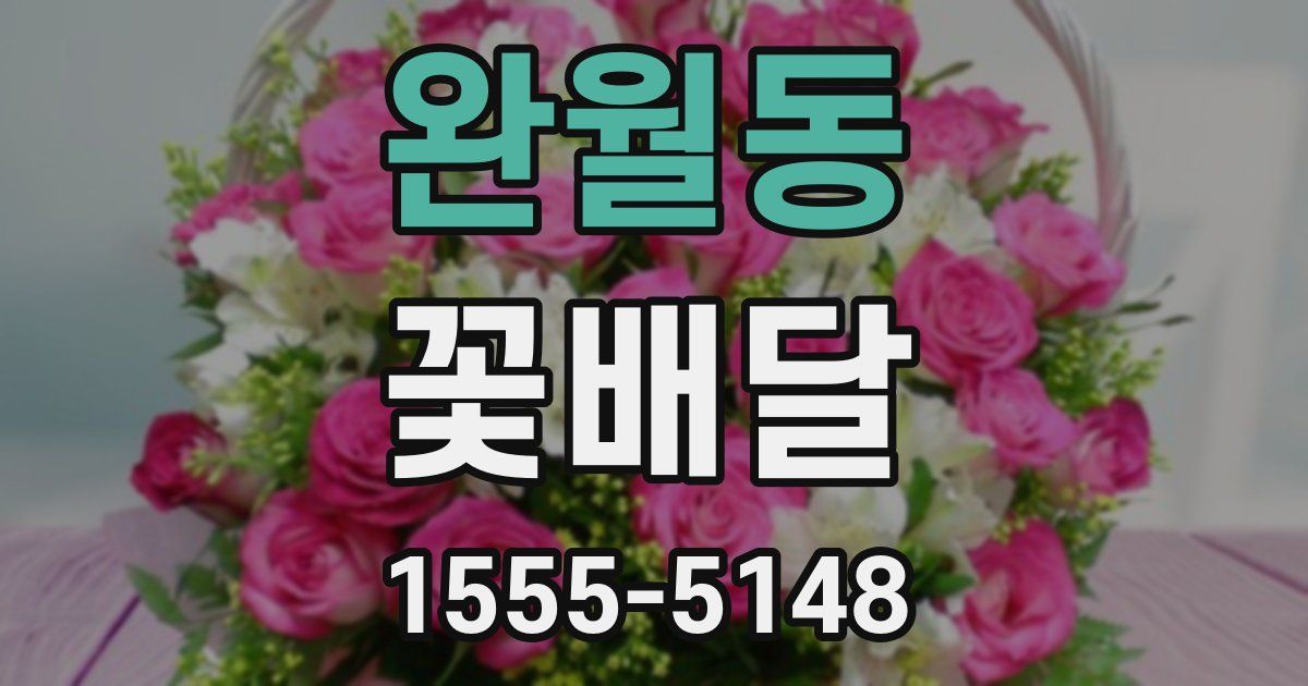 완월동 꽃배달
