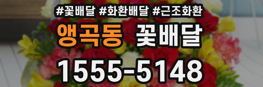 앵곡동 꽃배달