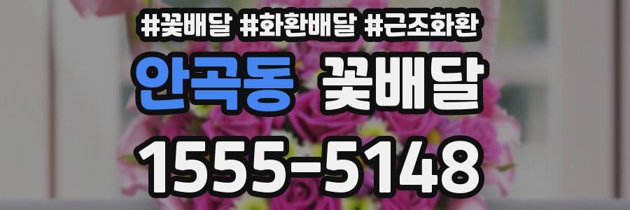 안곡동 꽃배달