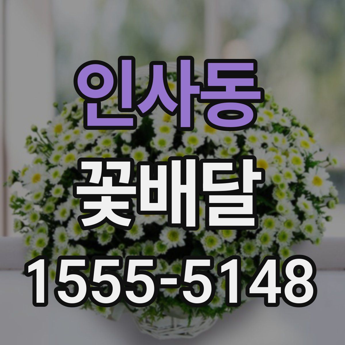인사동 꽃배달