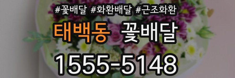 태백동 꽃배달