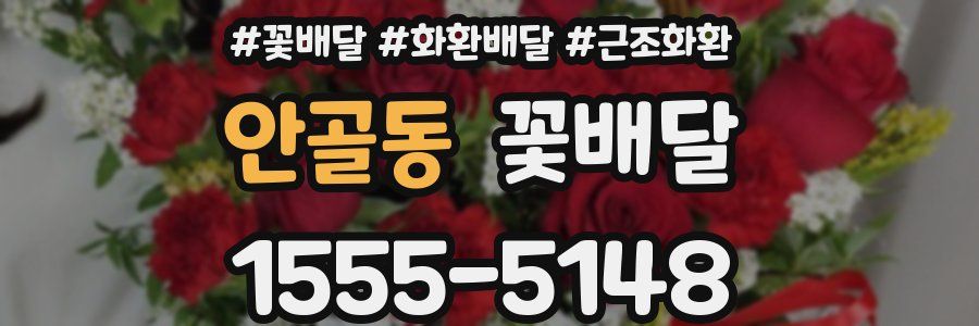 안골동 꽃배달
