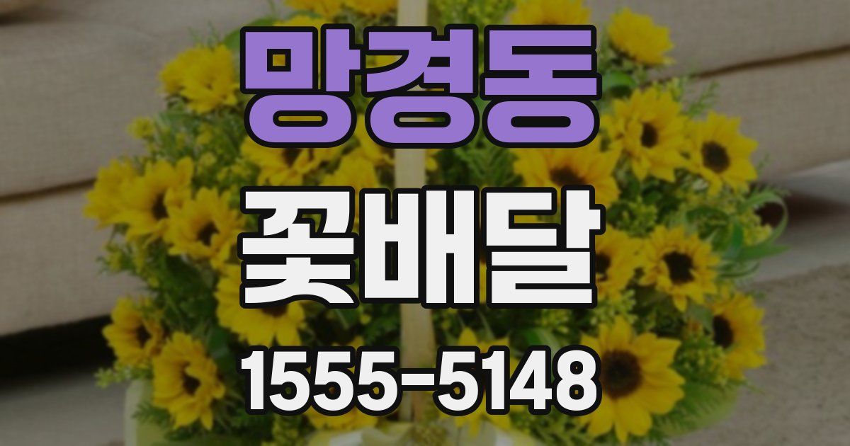 망경동 꽃배달