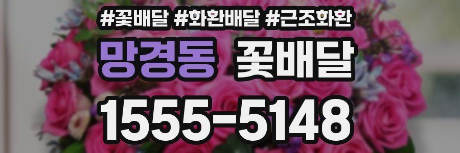 망경동 꽃배달