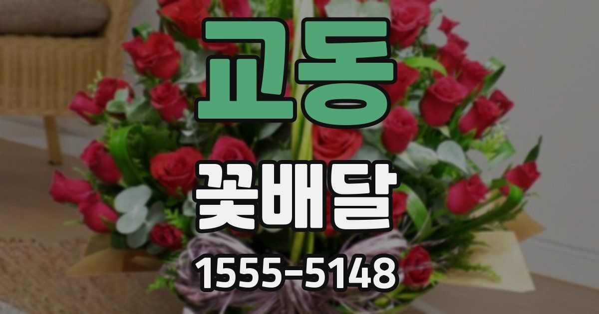 교동 꽃배달