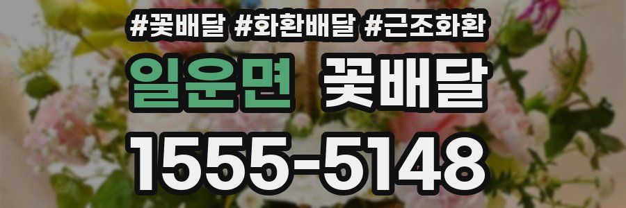 일운면 꽃배달