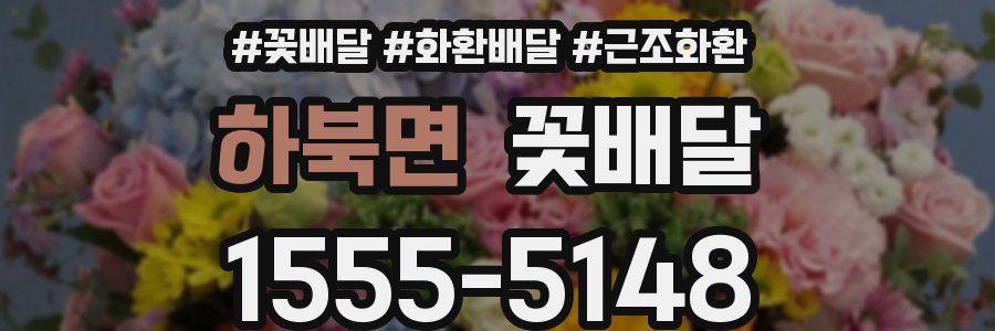 하북면 꽃배달