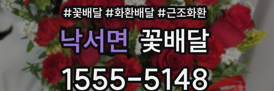 낙서면 꽃배달