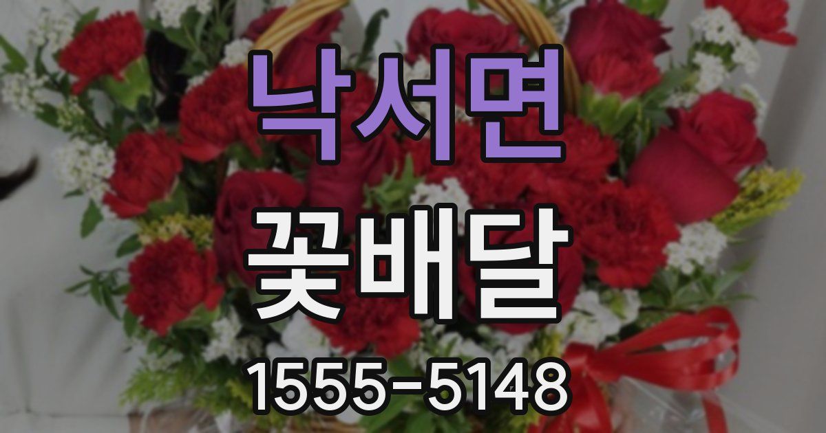 낙서면 꽃배달