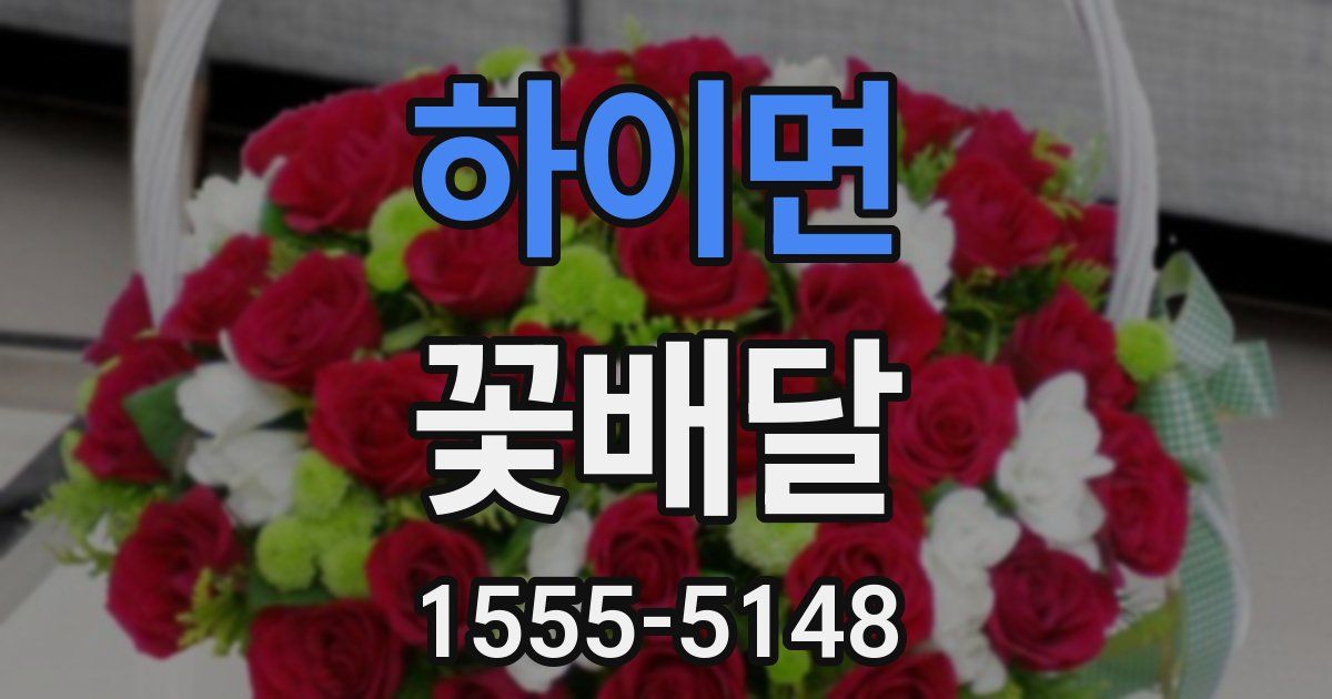 하이면 꽃배달
