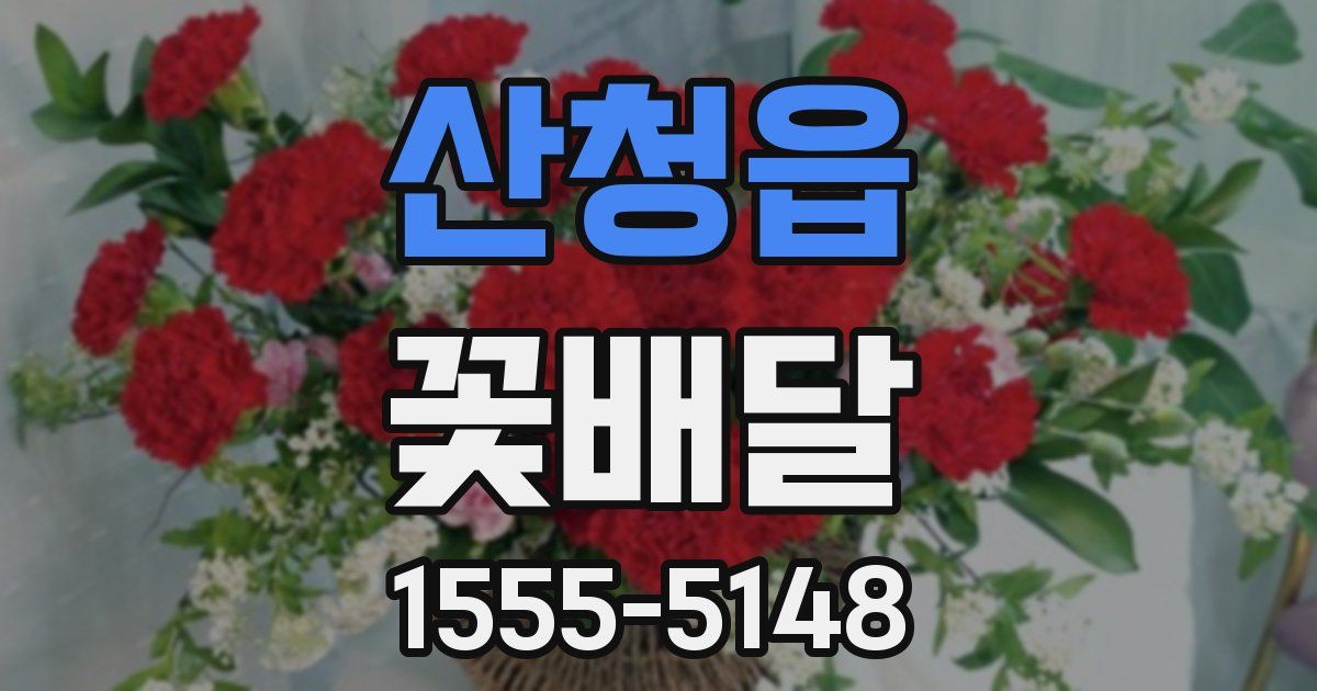 산청읍 꽃배달