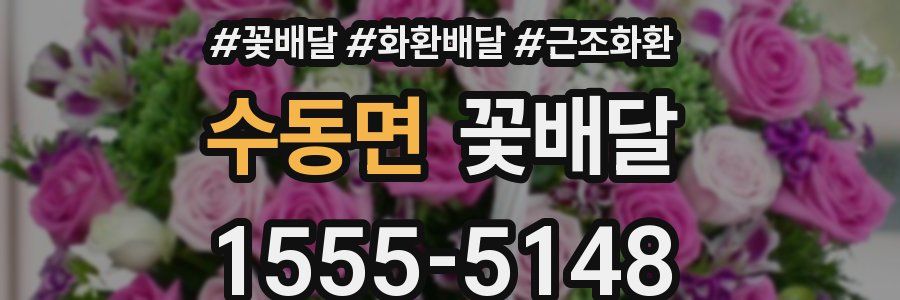 수동면 꽃배달
