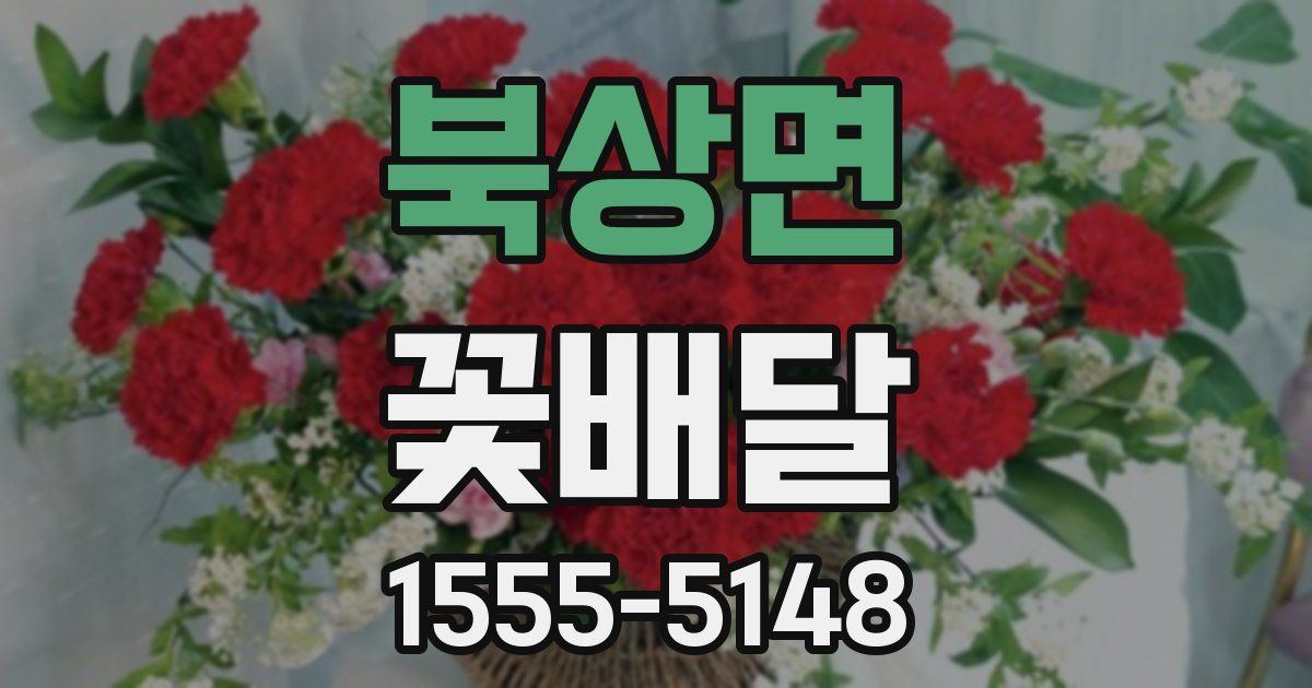 북상면 꽃배달