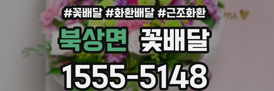북상면 꽃배달