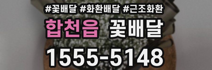 합천읍 꽃배달