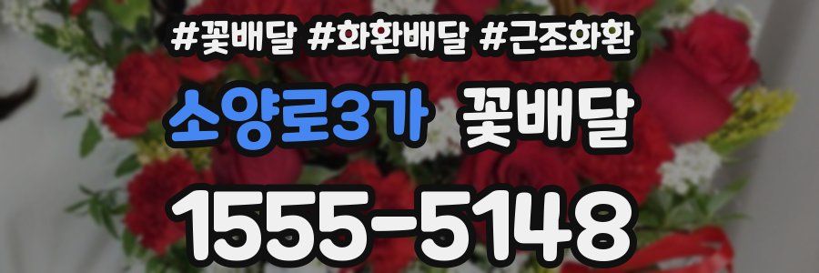 소양로3가 꽃배달