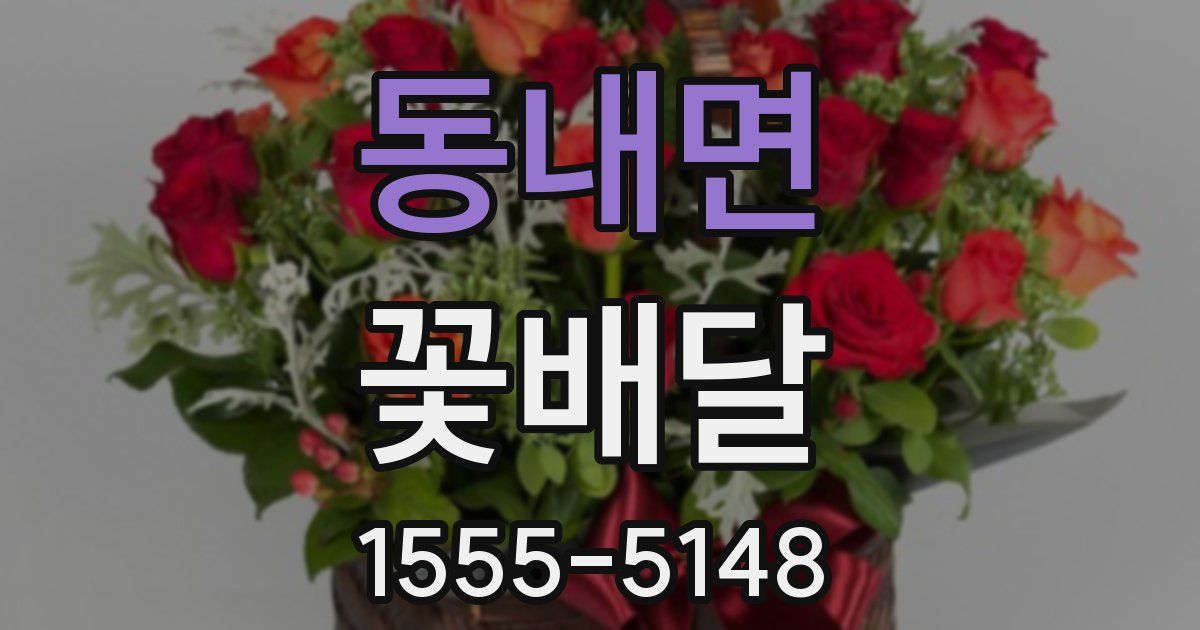 동내면 꽃배달
