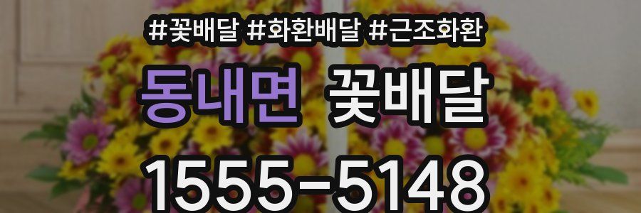 동내면 꽃배달