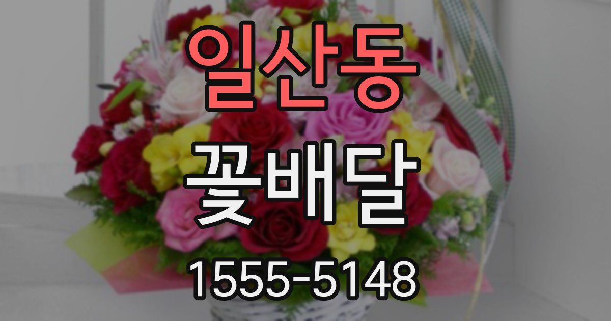 일산동 꽃배달