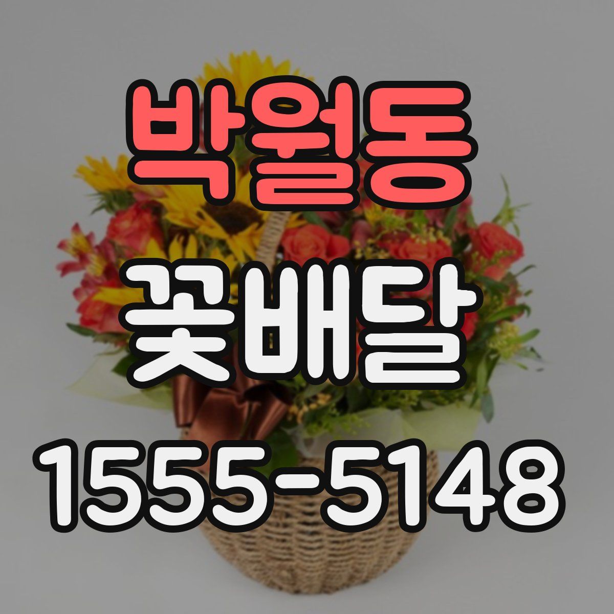 박월동 꽃배달