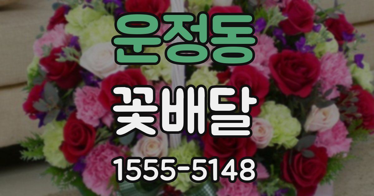 운정동 꽃배달