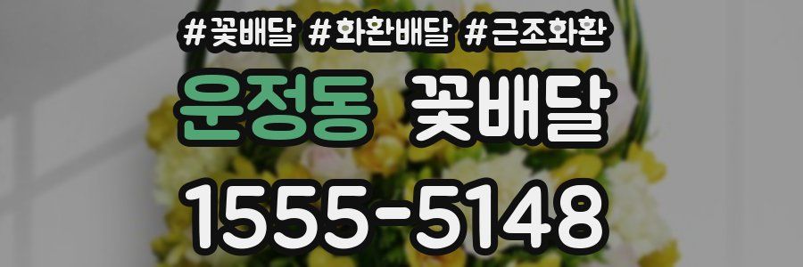 운정동 꽃배달