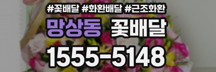 망상동 꽃배달