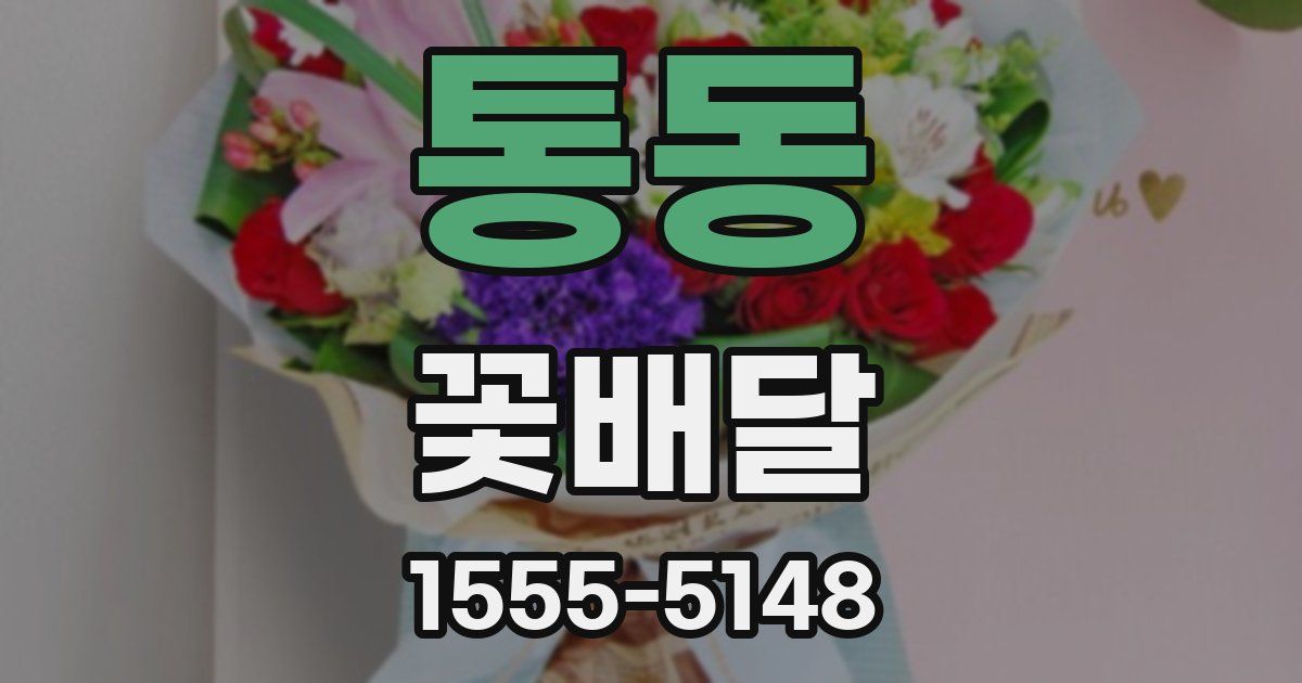 통동 꽃배달