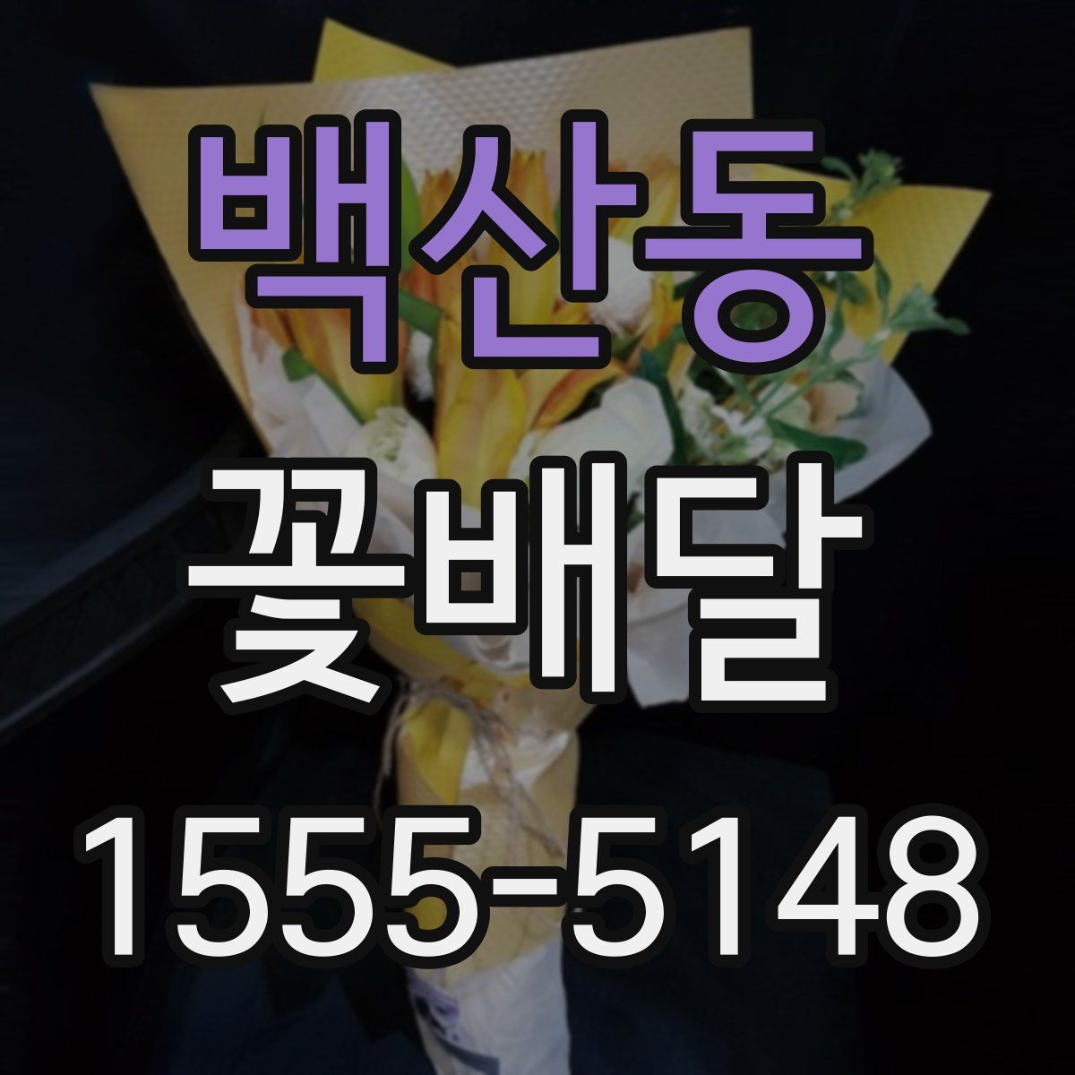 백산동 꽃배달