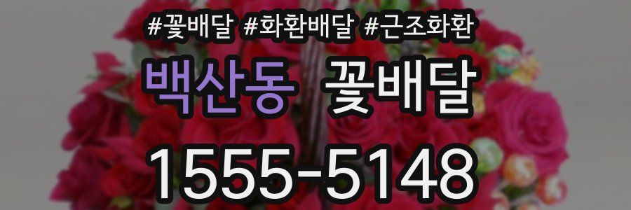 백산동 꽃배달