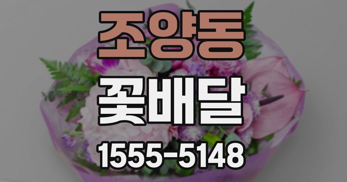 조양동 꽃배달