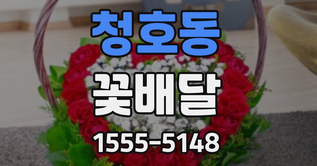 청호동 꽃배달