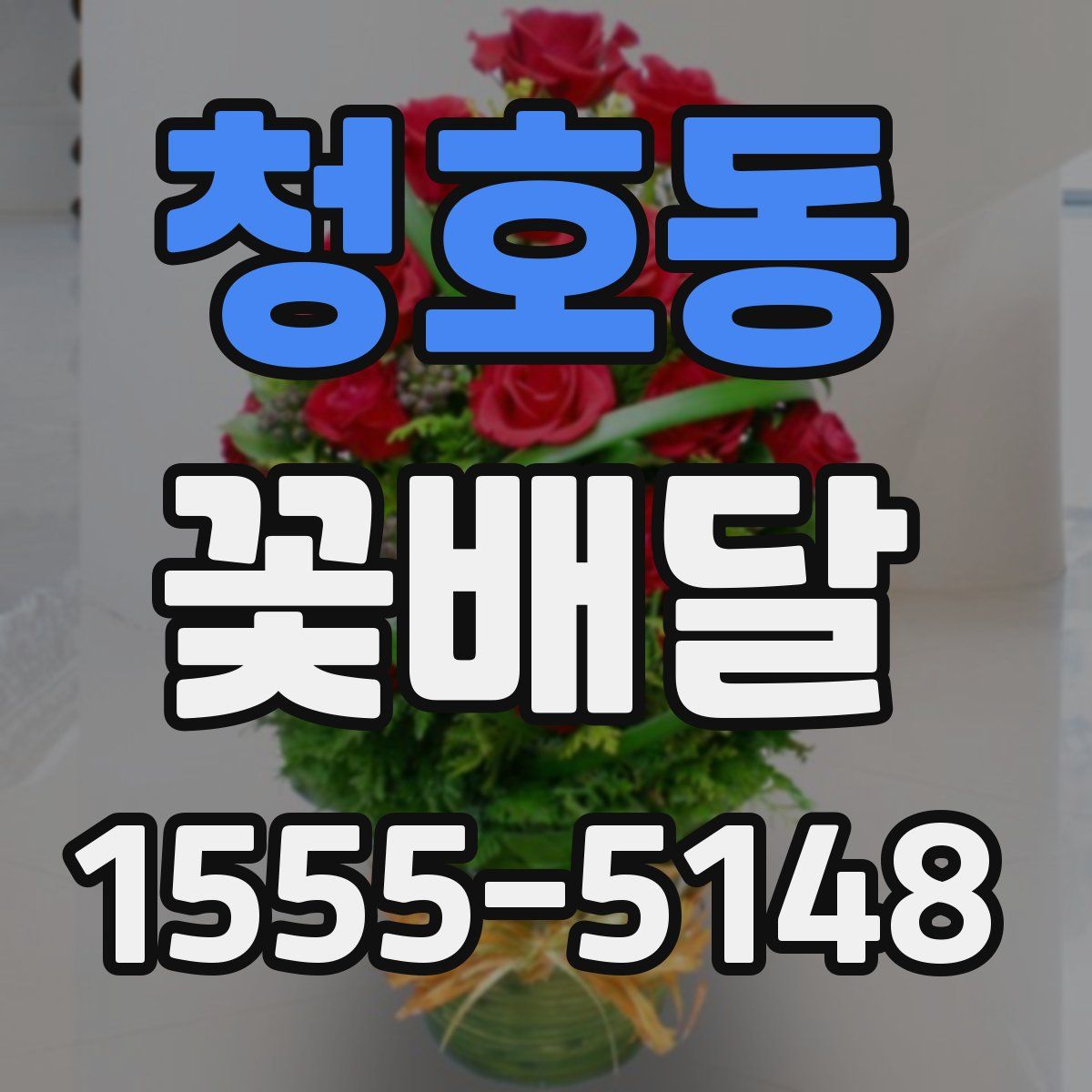 청호동 꽃배달
